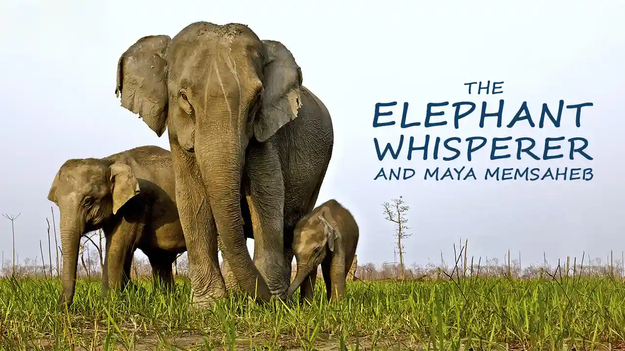 The Elephant Whisperer and Maya Memsaheb The Elephant Whisperer and Maya Memsaheb