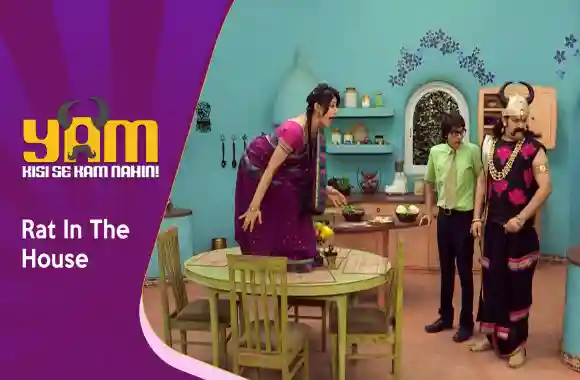 E24 Rat In The House