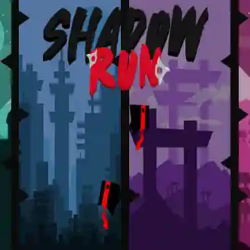Shadow Run