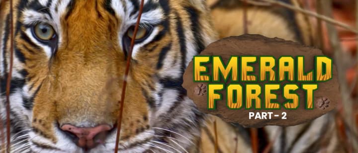 Emerald Forest (Part 2)