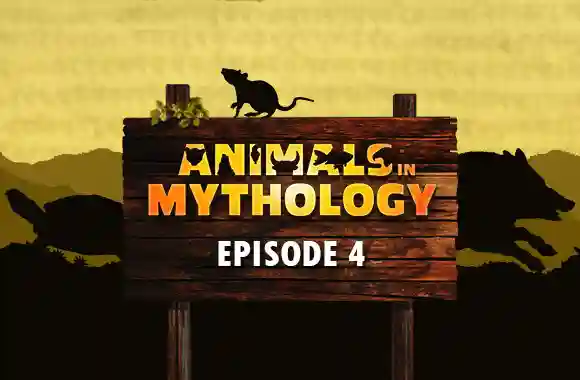 E4 Fish, Rat, Boar,Tortoise