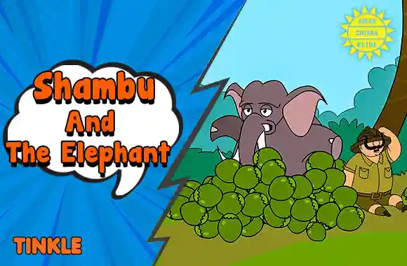 Shambu And The Elephant