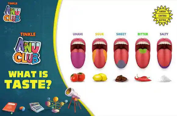 Food - What is Taste?