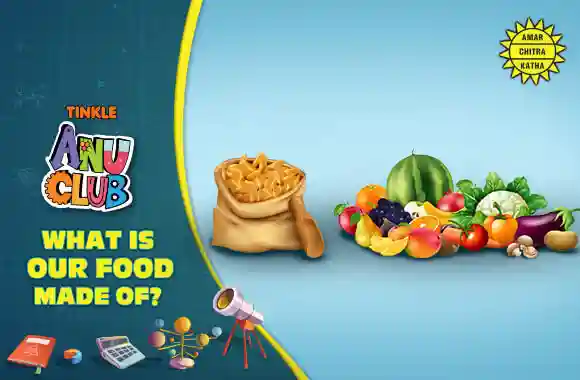 Food - What is our food made of?