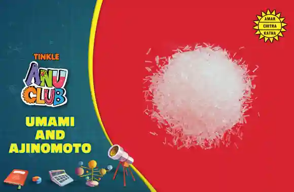 Food -Umami and Ajinomoto