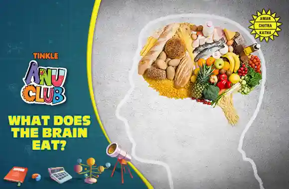 Food - What does the brain eat?