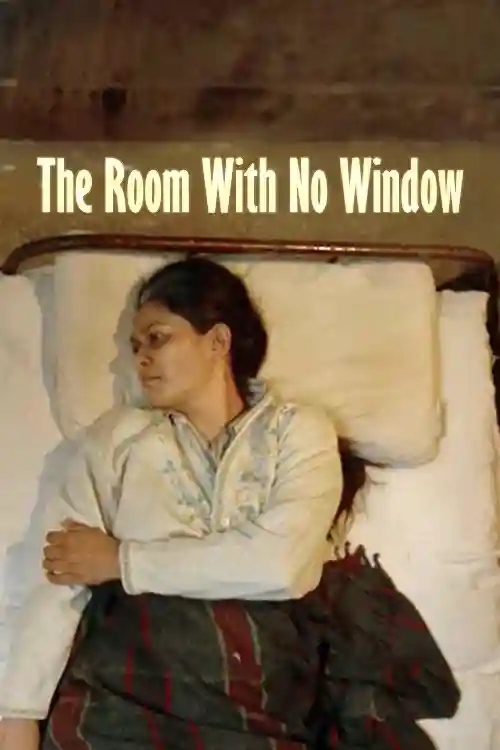 The Room With No Window