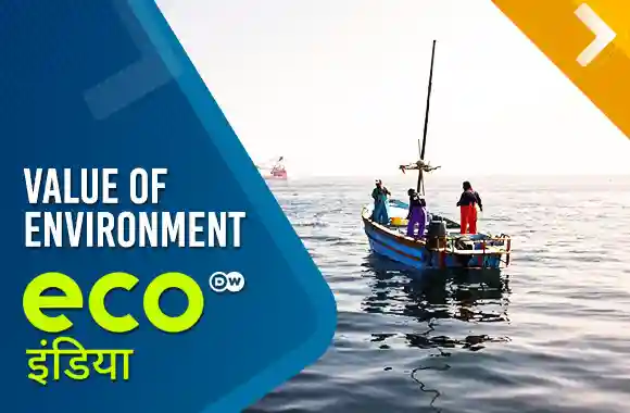 Value of Environment