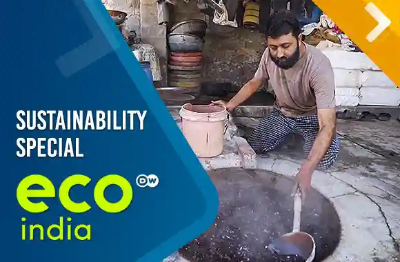 Sustainability Special