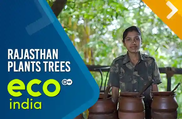Rajasthan Plants Trees