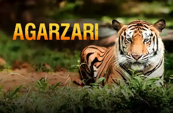 Agarzari Agarzari