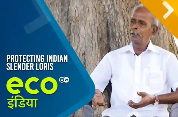 Protecting Indian Slender Loris