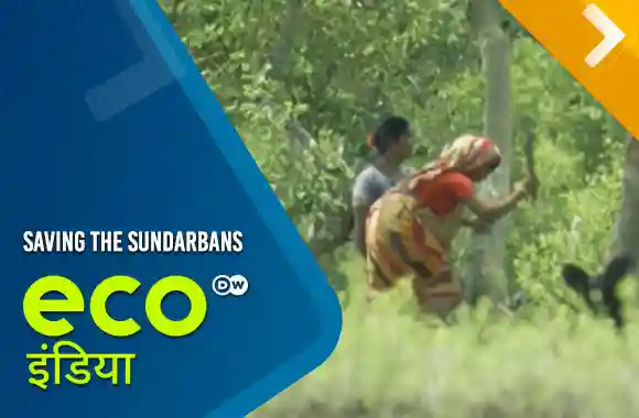 Saving The Sundarbans