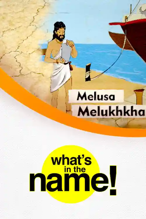 What’s In The Name