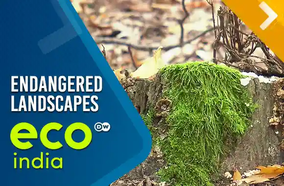 Endangered landscapes