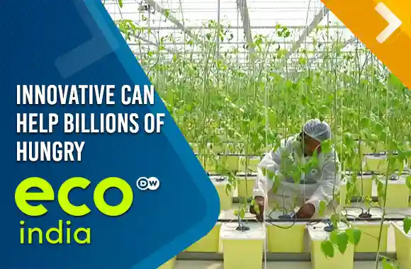 Innovative businesses, technology and courage can help billions of hungry