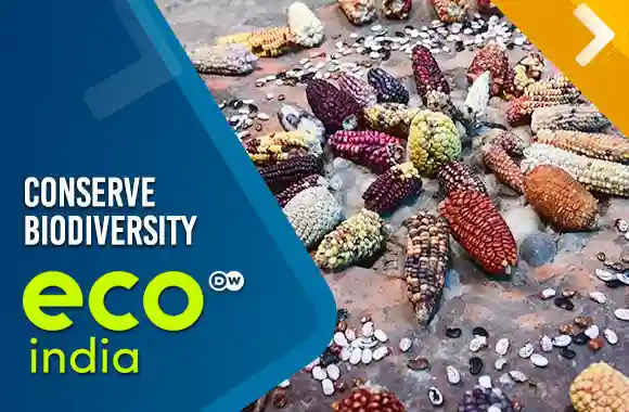 Marginalized communities and their efforts to conserve biodiversity